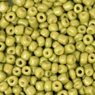Seed beads 8/0 (3mm) Origano green